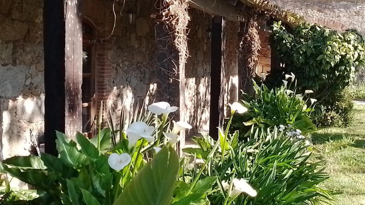 Casa Rural El Refugi Platja D'Aro 4 Romanyá de la Selva Exterior photo
